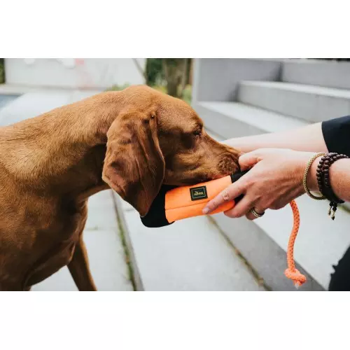 Hunter Snackdummy Trainer mit Seil Orange/Schwarz