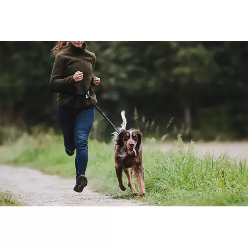 Freihand-Leine / Joggingleine, schwarz/orange