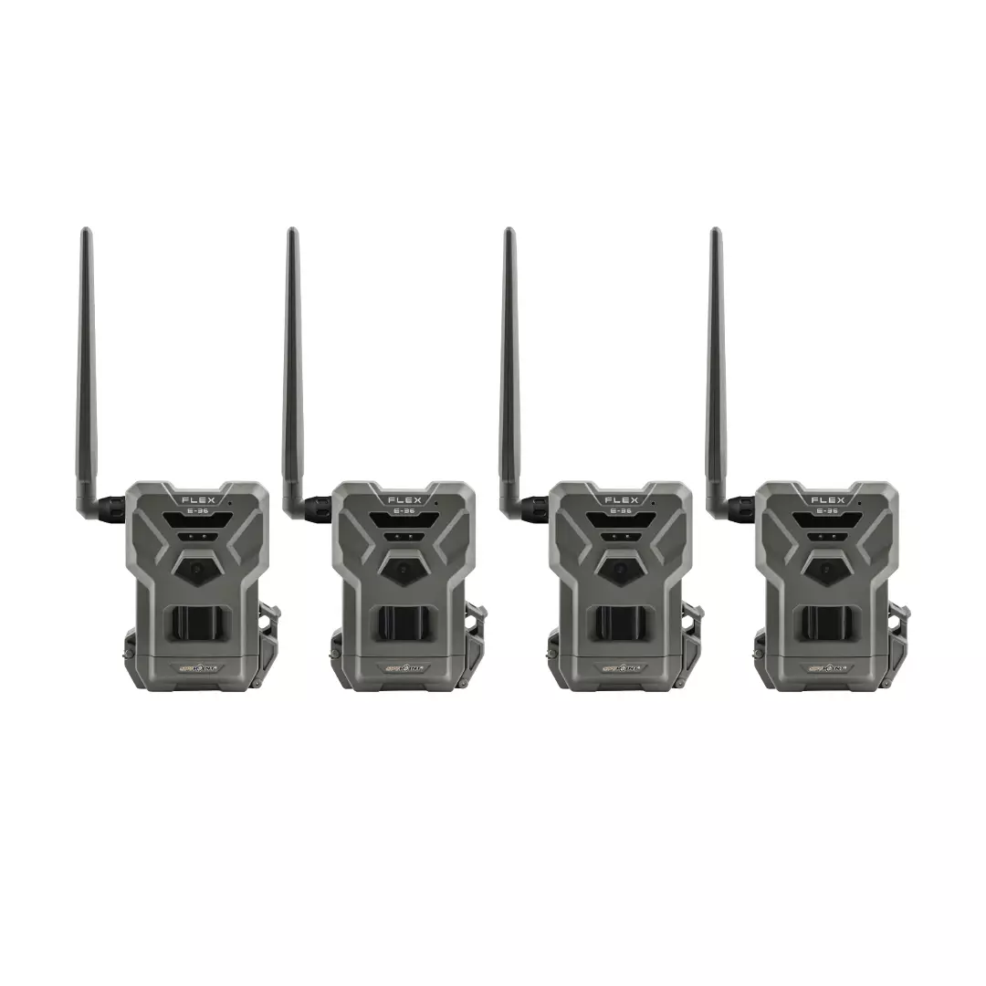 SPYPOINT FLEX E-36 4er-Set